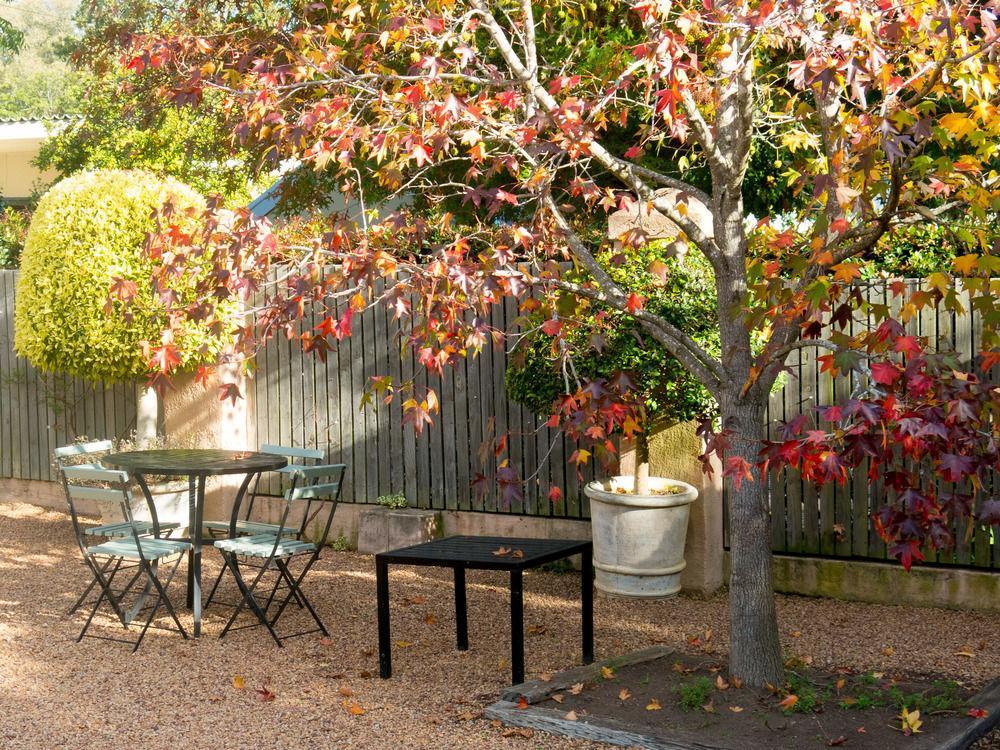 Babette Bed And Breakfast 수웰런댐 외부 사진