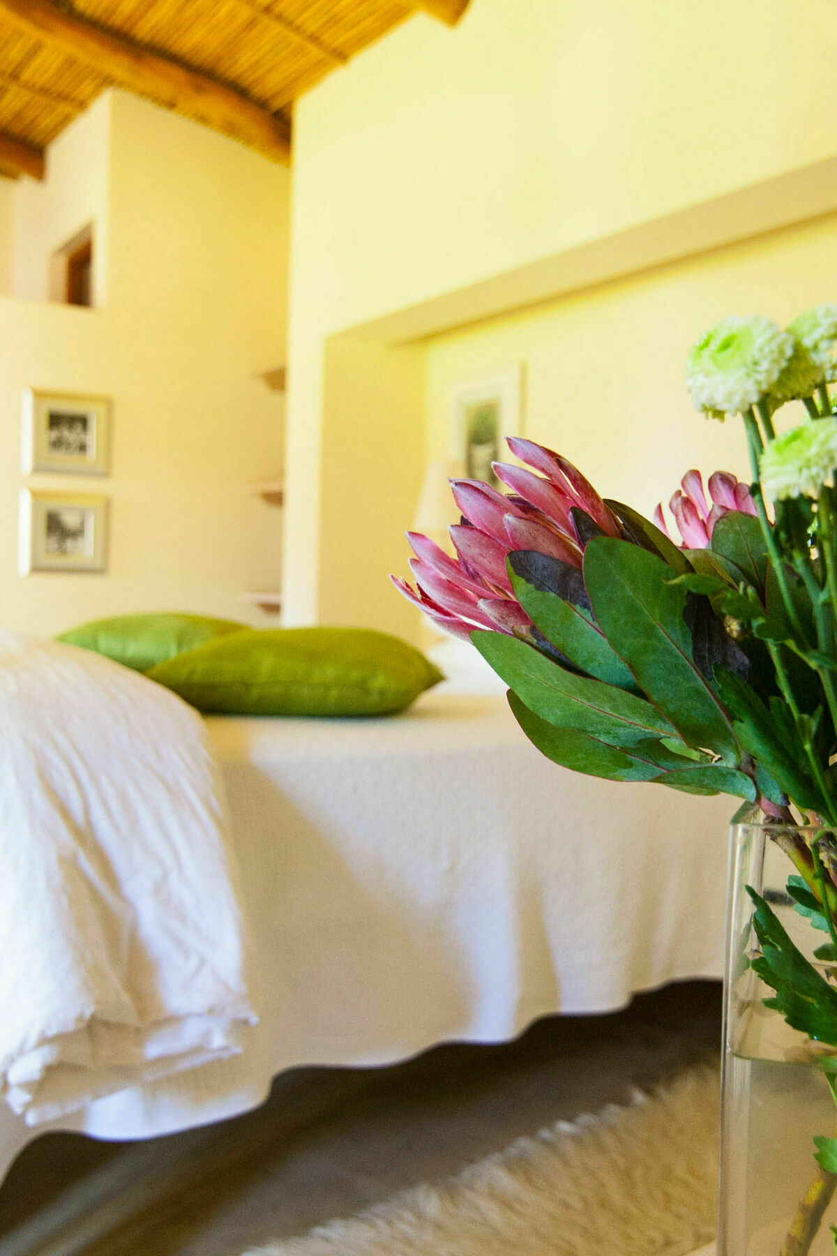 Babette Bed And Breakfast 수웰런댐 외부 사진
